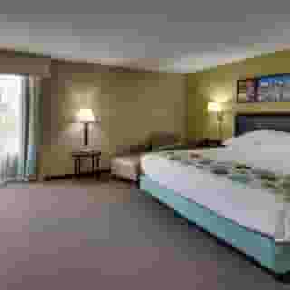 Drury Inn & Suites Houston Near the Galleria, 4 of 6