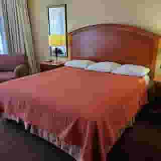 Royal Pacific Motor Inn, 5 of 6