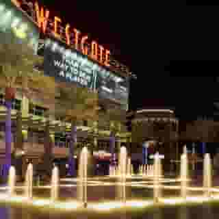 Hampton Inn & Suites Phoenix Glendale-Westgate, 5 of 6