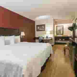 Red Roof Inn Plus+ Nashville Fairgrounds, 6 of 6