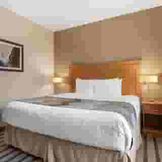 Best Western King George Inn & Suites, 3 of 6