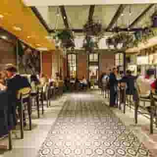 Hotel West & Main Conshohocken Philadelphia, Tapestry Collection, 1 of 6