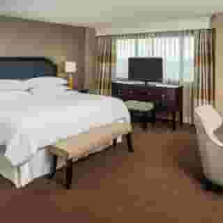 Sheraton North Houston at George Bush Intercontinental, 6 of 6