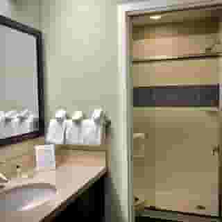 Sonesta Es Suites San Francisco Airport San Bruno, 3 of 6