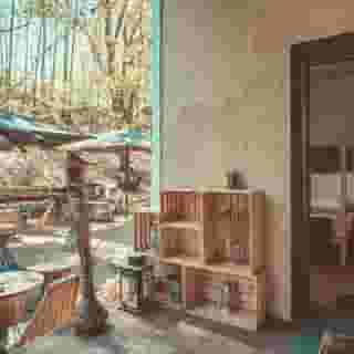Downtown Forest Hostel & Camping, 6 of 6