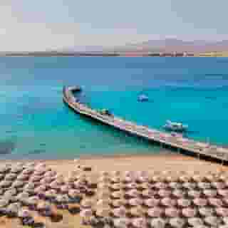 SRNTY Sahl Hasheesh , 1 of 6