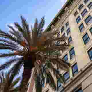 The Saint Hotel, New Orleans, French Quarter, 4 of 6