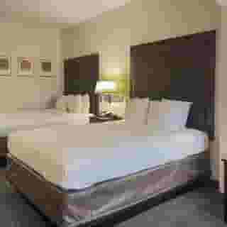 Quality Inn & Suites Houston Northwest - Cypress, 3 of 6