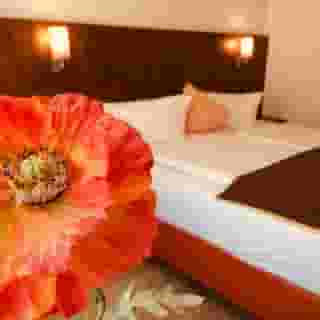 Hotel Triton, 6 of 6
