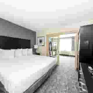 Best Western Inn & Suites San Diego – Zoo/SeaWorld Area, 4 of 6