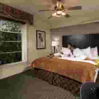 The Willows Hotel, 6 of 6