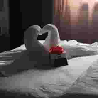 Bloom Boutique Hotel & Lounge Basel, 6 of 6