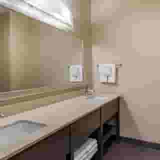 Comfort Suites Near Sam Houston Race Park, 6 of 6
