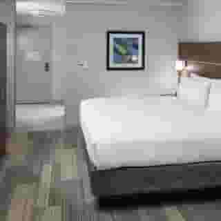 Holiday Inn Express & Suites Orlando At Seaworld, 4 of 6