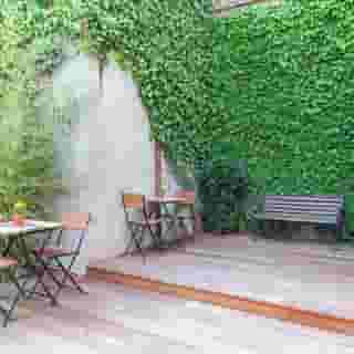 Montovani, 4 of 6