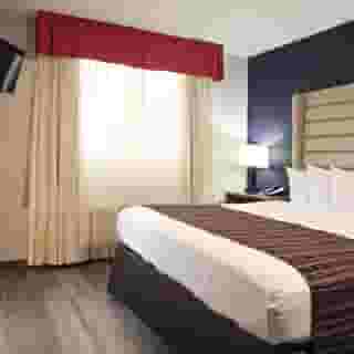 The Palms Inn & Suites, 4 of 6