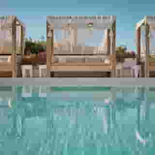 Secret Oasis, 2 of 6
