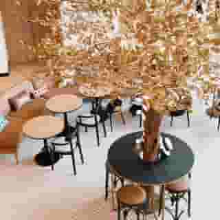 Novotel Suresnes Longchamp, 4 of 6