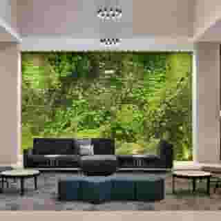 Embassy Suites by Hilton Atlanta Midtown, 2 of 6