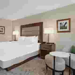 Hilton Arlington National Landing, 4 of 6