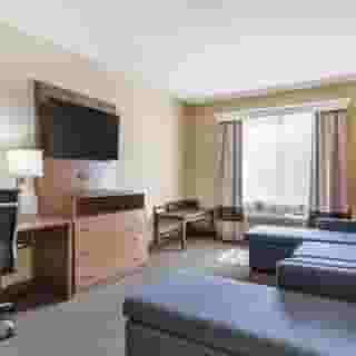 Comfort Suites Bush Intercontinental Airport, 2 of 6