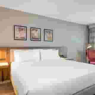 Hilton Garden Inn Boston Logan Airport, 2 of 6