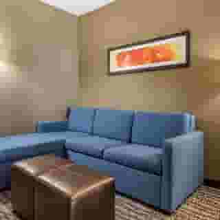 Comfort Suites Near Sam Houston Race Park, 2 of 6