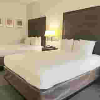 Quality Inn & Suites Houston Northwest - Cypress, 1 of 6