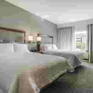 Hampton Inn & Suites North Dallas Central Expy, 5 of 6