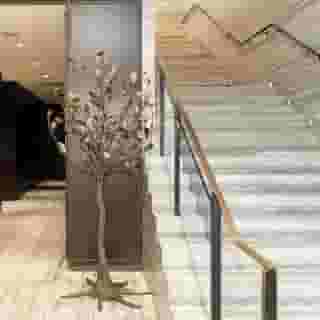 The St. Regis San Francisco, 4 of 6