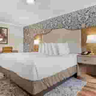 Best Western Plus French Quarter Courtyard Hotel, 2 of 6