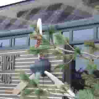 Sky High Hotel, 6 of 6
