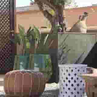 Riad Houma, 3 of 6