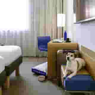 Novotel Milan Malpensa Airport, 4 of 6