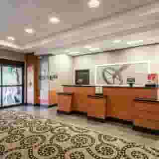 Hampton Inn & Suites Orlando-South Lake Buena Vista, 4 of 6