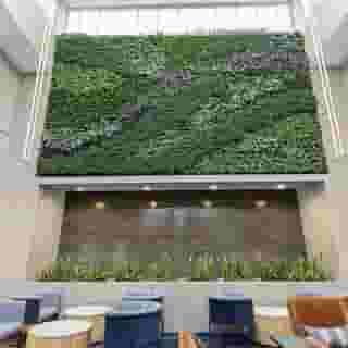 Embassy Suites by Hilton Irving Las Colinas, 2 of 6