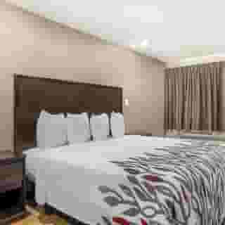 Red Roof Inn North Dallas - Park Central, 6 of 6