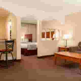 Mardi Gras Hotel & Casino, 3 of 6