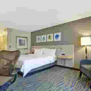 Hilton Garden Inn Lake Buena Vista/Orlando, 2 of 6