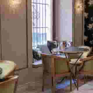 Hotel Gravina 51, 5 of 6
