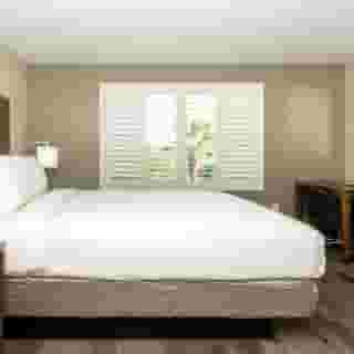 Best Western Houston Bush Iah Intercontinental Airport Inn, 5 of 6