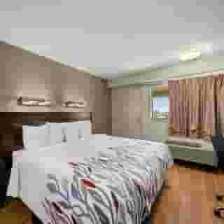 Red Roof Inn Dallas - Dfw Airport North, 6 of 6