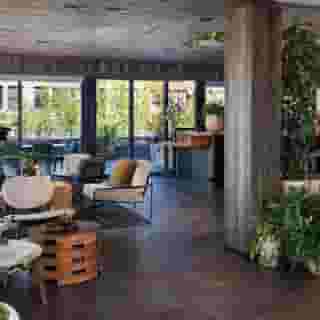 Populus Seattle, 6 of 6