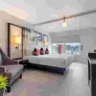 Heights House Hotel - Houston Heights Downtown, an Ascend Collection Hotel, 3 of 6