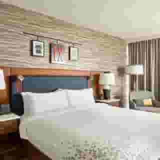Renaissance Dallas Richardson Hotel, 4 of 6
