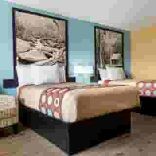 Super 8 by Wyndham Whites Creek/ Nashville Nw Area, 6 of 6