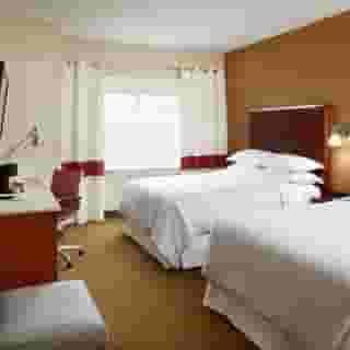 Four Points by Sheraton Houston Hobby Airport, 4 of 6