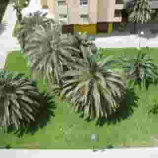 Apartamentos Plaza Picasso, 3 of 6