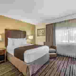 Best Western Plus North Miami/Bal Harbour, 3 of 6