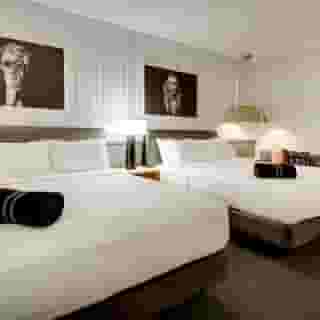 The Rose Chicago, Tapestry Collection by Hilton, 4 of 6